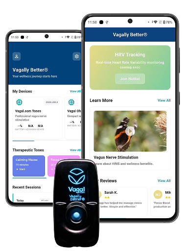 Vegal_challage_image